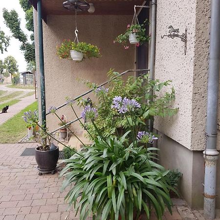 菲林斯部曼公寓 诺伊鲁平 外观 照片