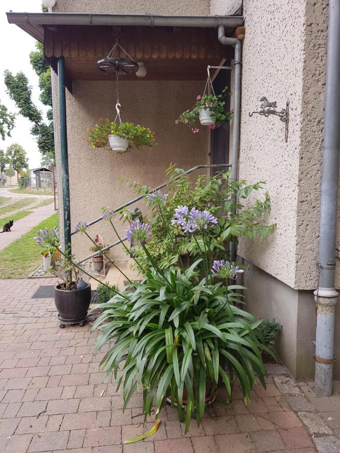 菲林斯部曼公寓 诺伊鲁平 外观 照片